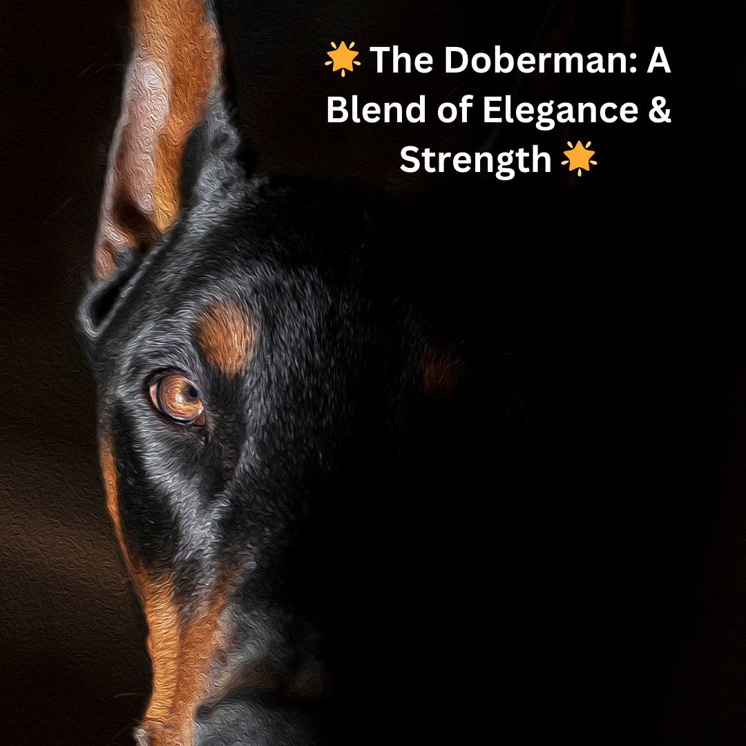 The Doberman Pinscher: Unveiling the Loyalty and Grace of a Unique Breed