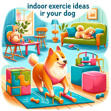 Indoor Exercise Ideas for Your Dog: Keeping Your Canine Companion Fit and Happy