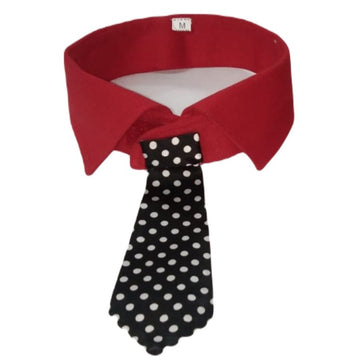 DapperDog Easy Attach Collar with Tie - Black & Red Dots