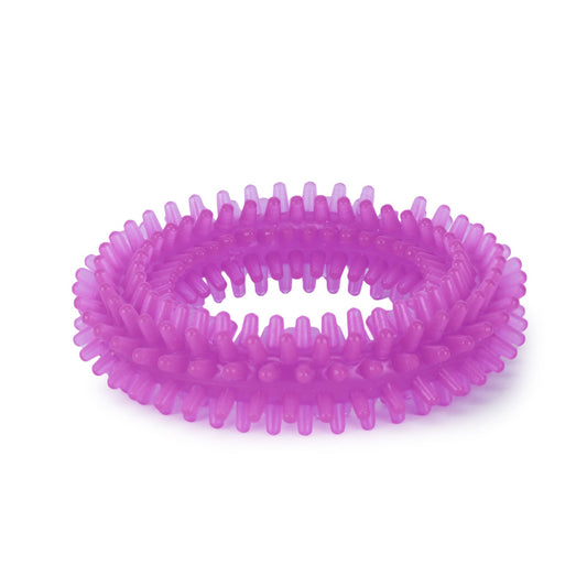Dog Chew Toy, Spiked Ring (Purple)