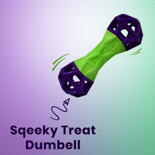Squeaky Dumbbell with Treat Dropper