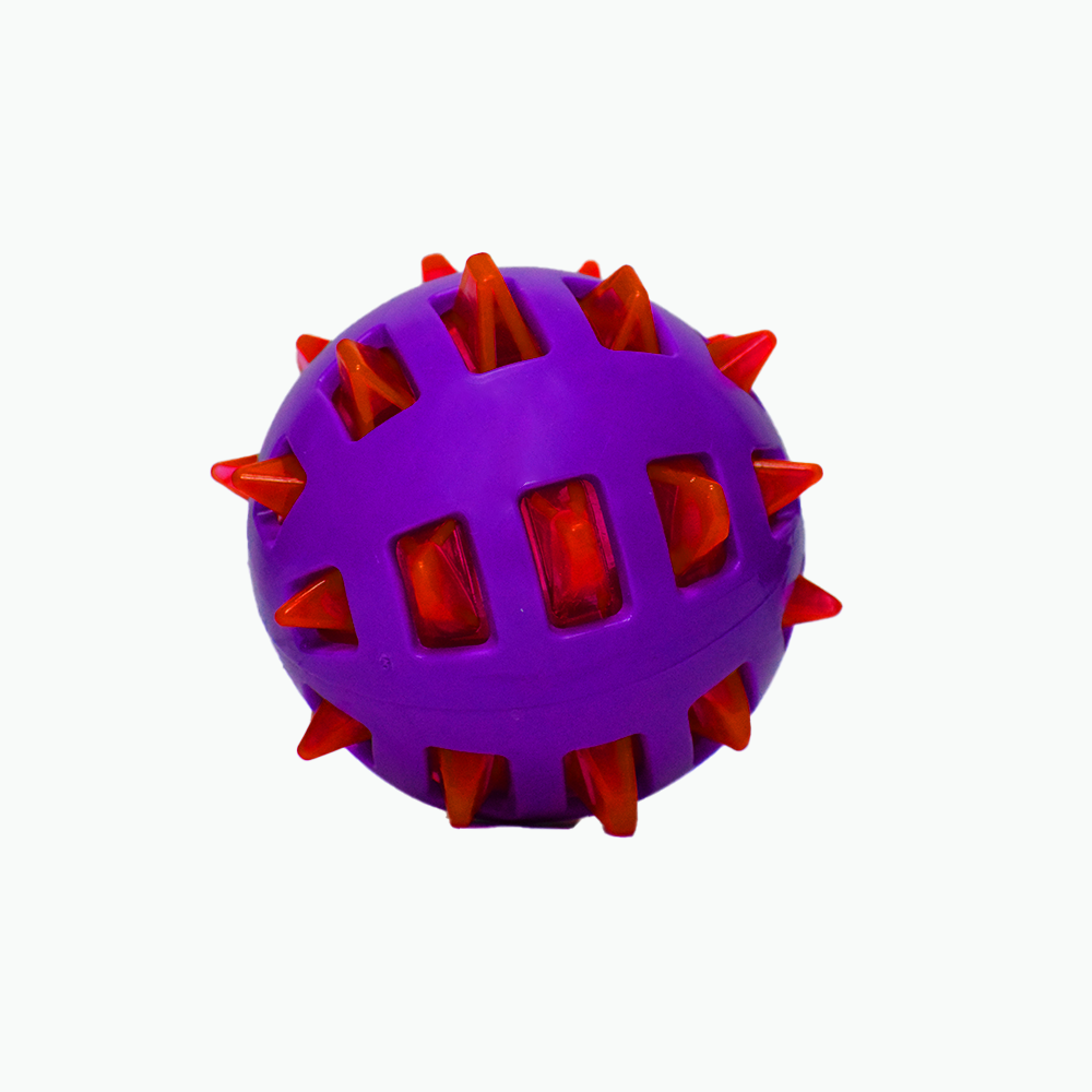 Spike Squeaky Chew Ball for Dogs