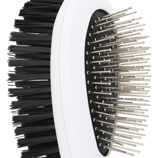 Brush & Comb for Dog Grooming, 2-in-1 Brush Comb