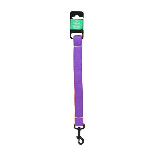 Padded Leash for Dogs & Puppies (Purple)